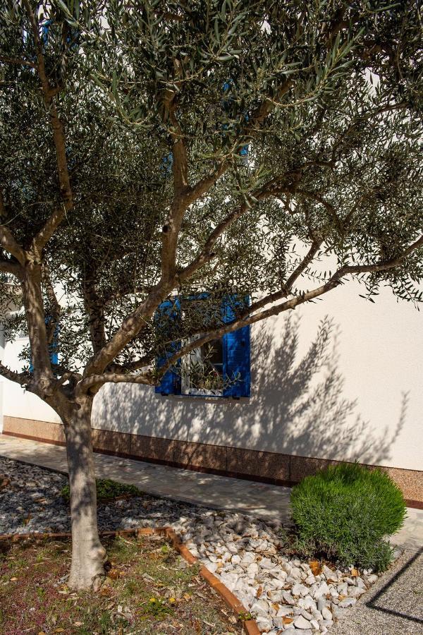Olive Tree Apartments Umag Exterior photo